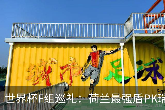 世界杯F组巡礼：荷兰最强盾PK瑞典犀利刀 日本短板明显
